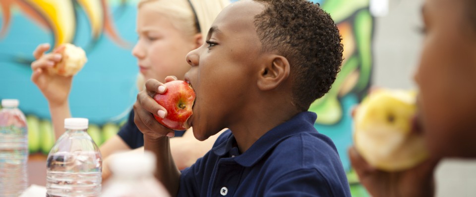 iStock_000013621451Medium-960×399